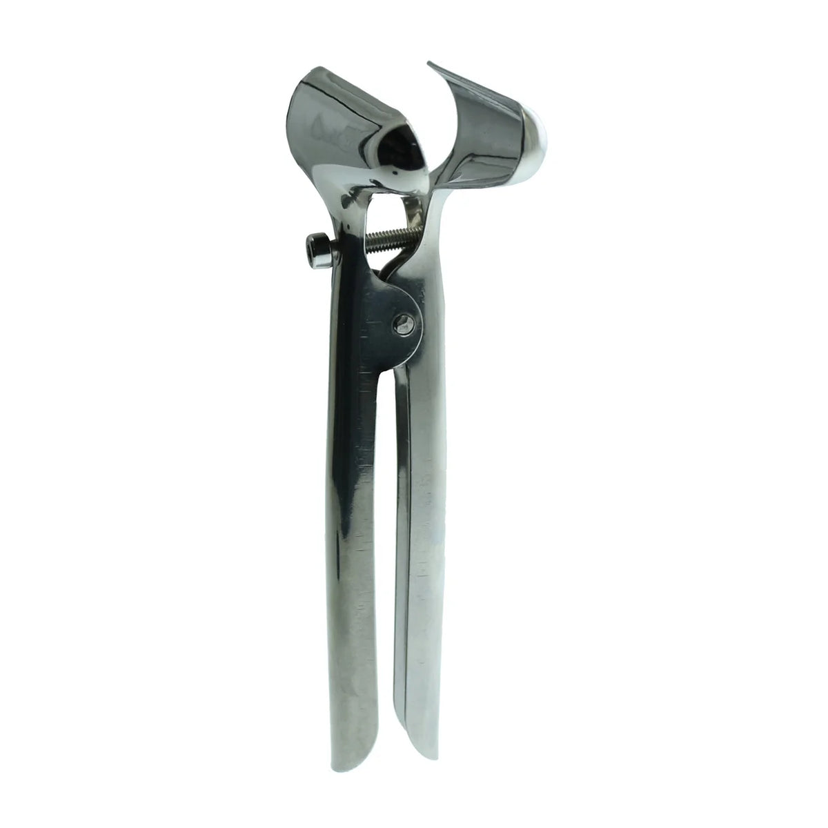 Stainless Steel Anal Spectulum