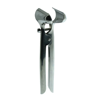 Stainless Steel Anal Spectulum